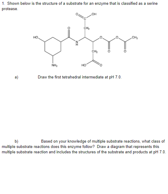 1. Shown below is the structure of a substrate for an | Chegg.com