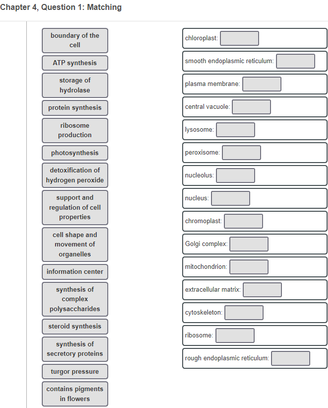 Solved Chapter 4, Question 1: Matching contains pigments in | Chegg.com