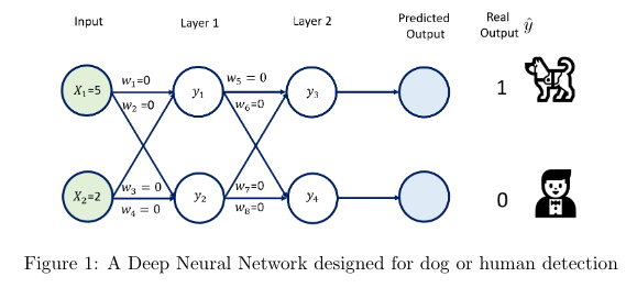 Solved A Deep Neural Network is shown in Figure 1. The aim | Chegg.com