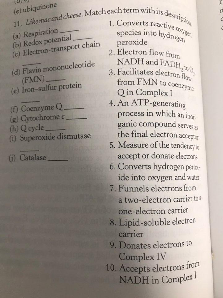 Solved E Ubiquinone 11 Like Mac And Cheese Match Each Chegg Com