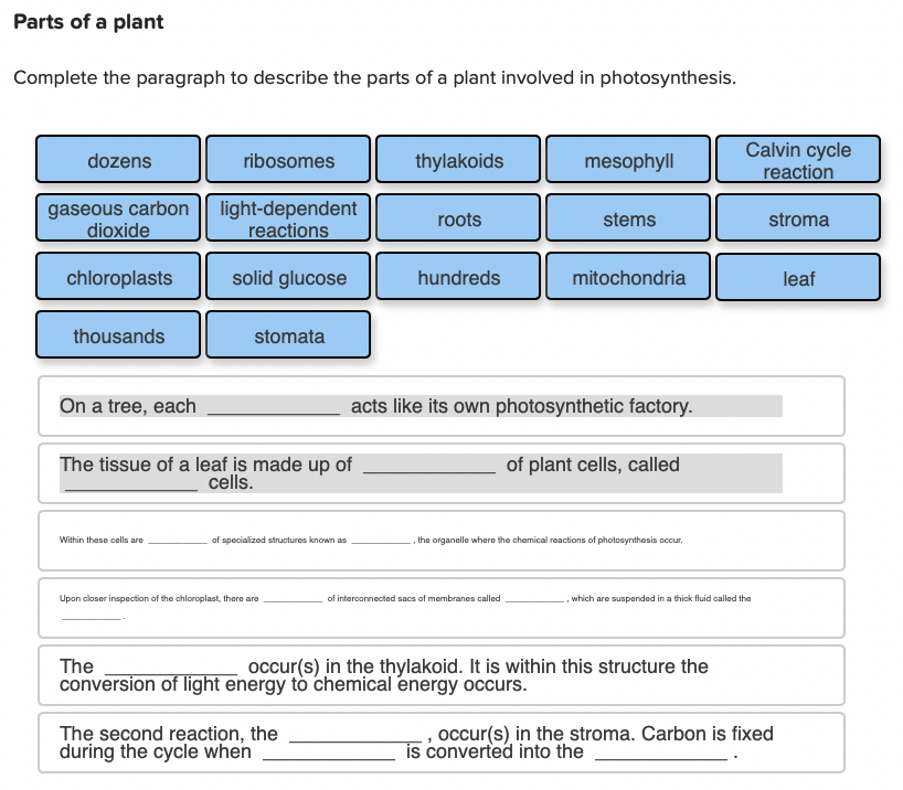 Parts of a plant
Complete the paragraph to describe the parts of a plant involved in photosynthesis.
On a tree, each acts lik