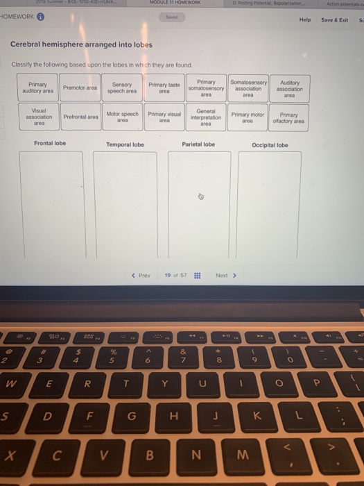 Solved WODULE 1 HOMEWORK Desting potential Reportion Action | Chegg.com