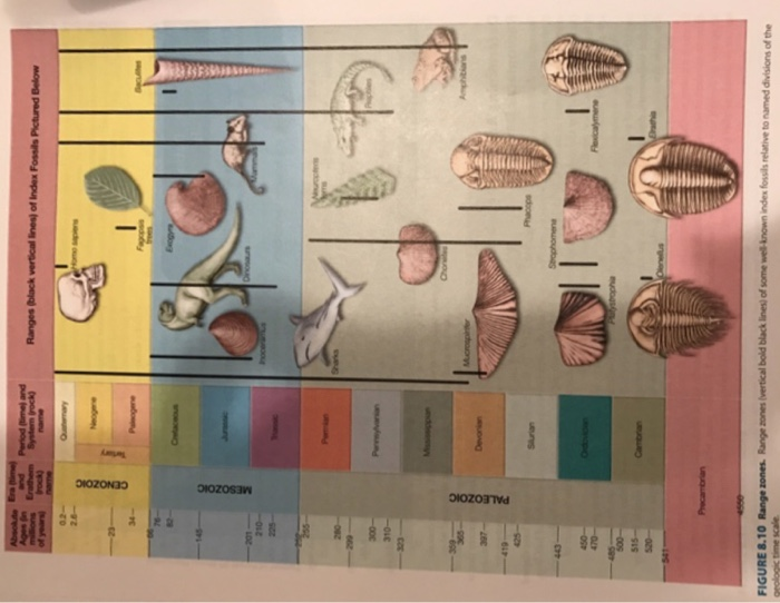 Solved D. Using FIGURE 8.10, re-evaluate the geologic cross | Chegg.com