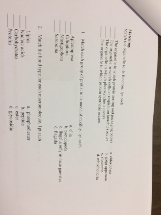 Solved Matching Match the organelle to its function. 1 pt | Chegg.com