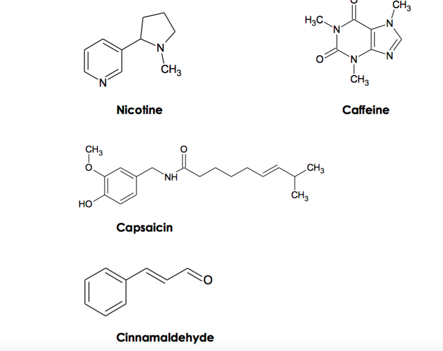 Solved CH3 OH CH3 HO CH3 HO CH3 HO OH CH2 Vitamin C Vitamin