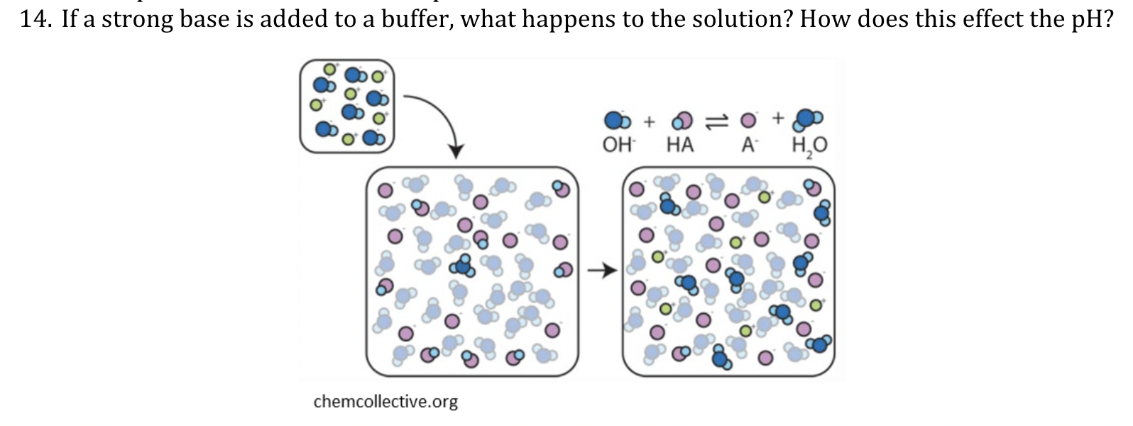 Solved If a strong base is added to a buffer, what happens