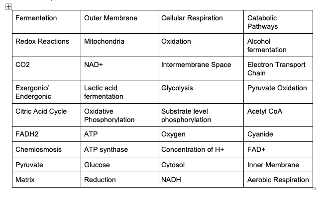 Solved Biology Help ASAP! Create a concept map connecting | Chegg.com