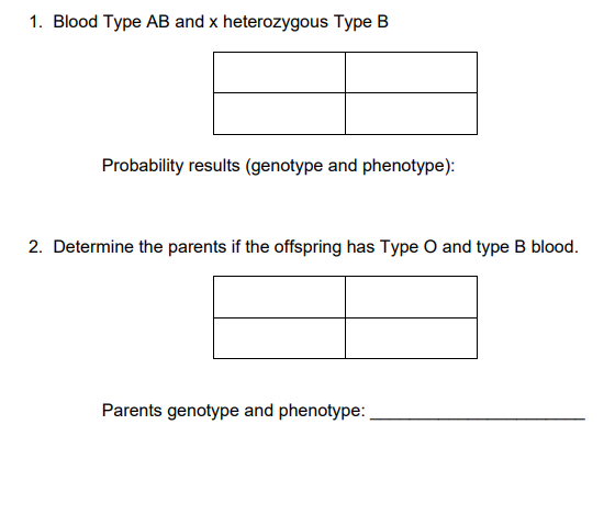 Solved 1. Blood Type AB And X Heterozygous Type B | Chegg.com