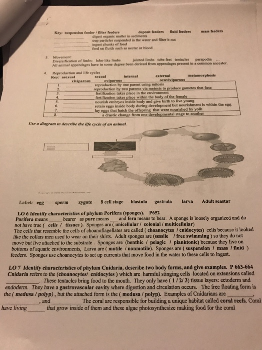 Solved Key suspension feeder/filter feeders deposit feeders