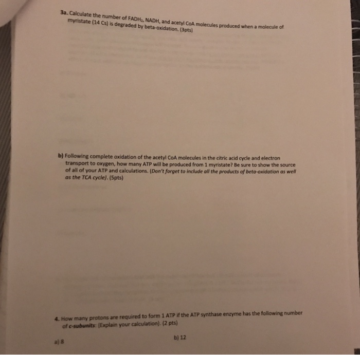 solved-3a-calculate-the-number-of-fadh-nadh-and-acetyl-chegg