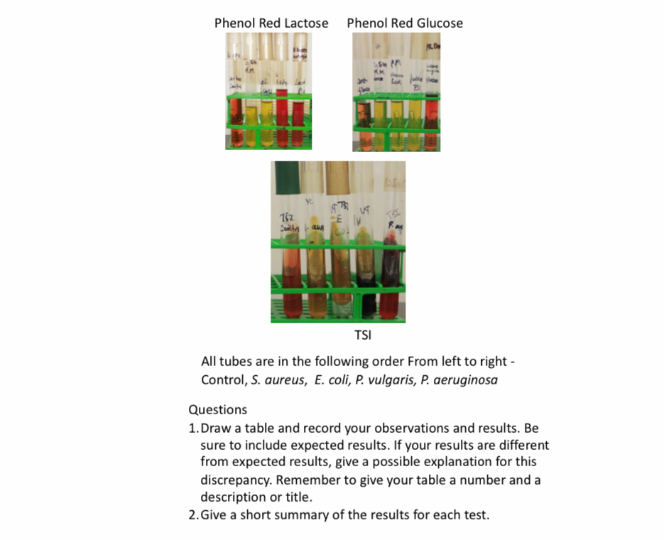 Solved test phenol red test phenol red test phenol red