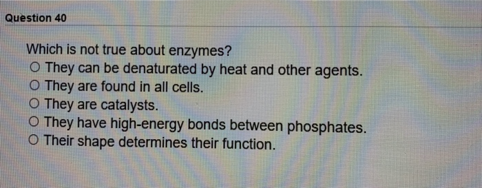 Which Is Not True About Enzymes Solved Question 40 Which is not true about enzymes? O They | Chegg.com