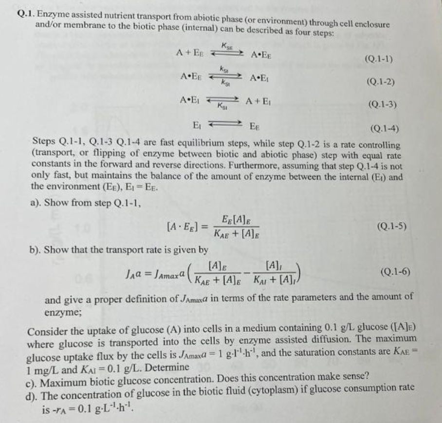Q.1. Enzyme assisted nutrient transport from abiotic | Chegg.com