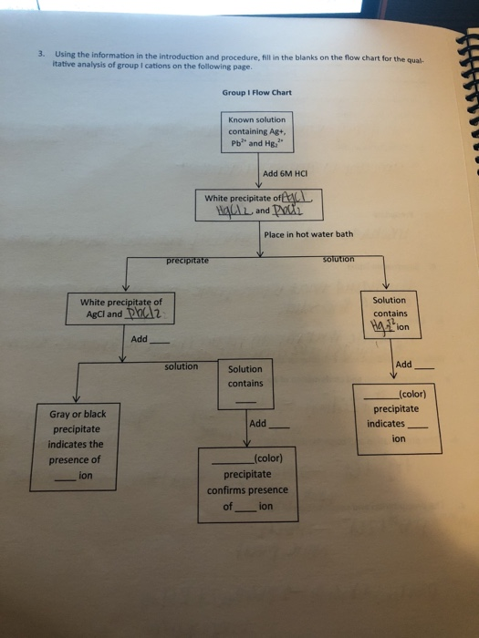 Solved the group 1 flow chart is confusing. i didnt know | Chegg.com