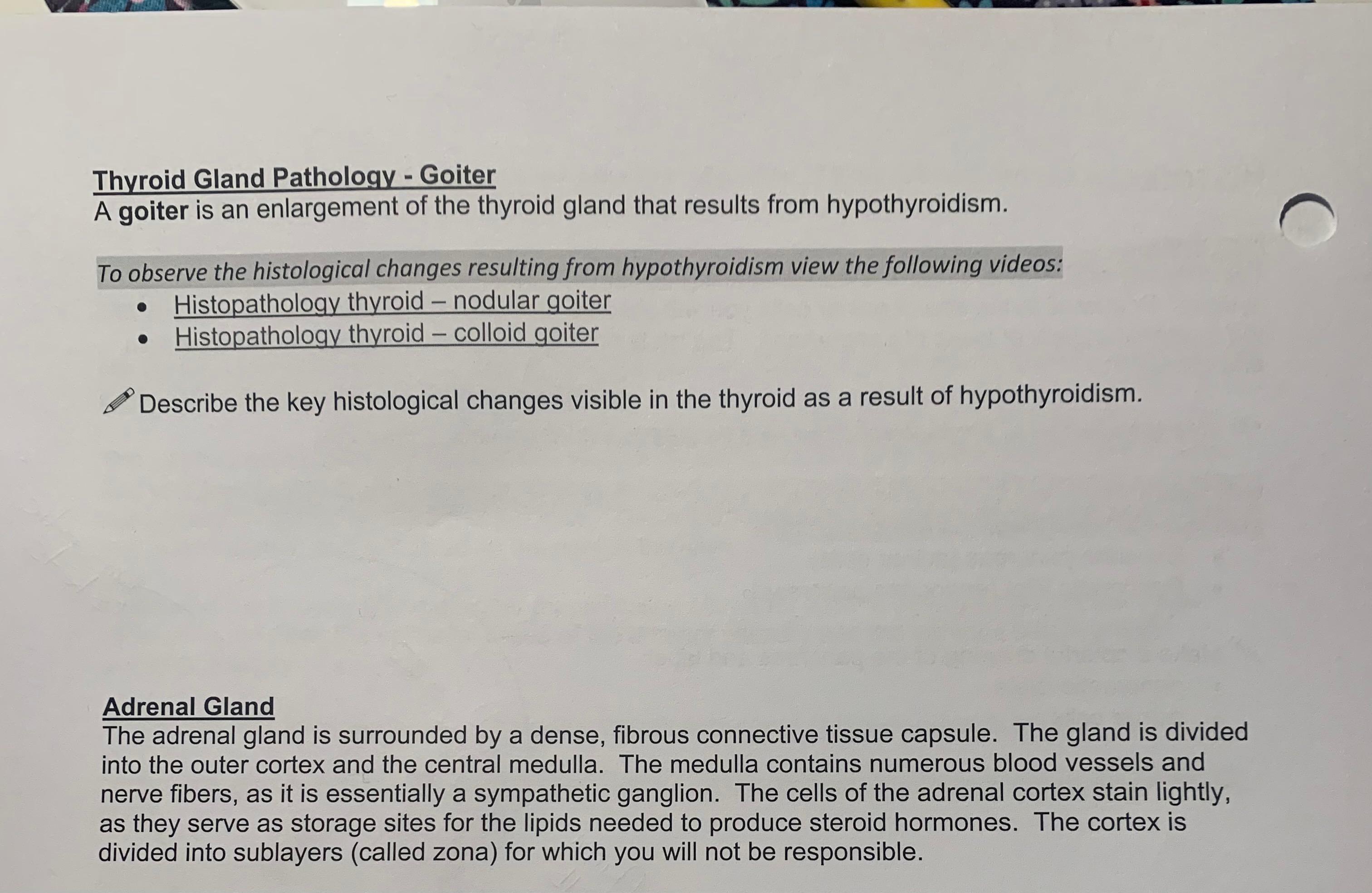 Solved Thyroid Gland Pathology - Goiter A goiter is an | Chegg.com
