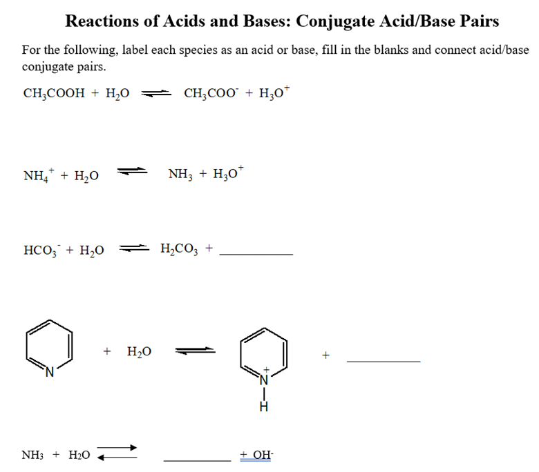 Solved Reactions of Acids and Bases: Conjugate Acid/Base | Chegg.com