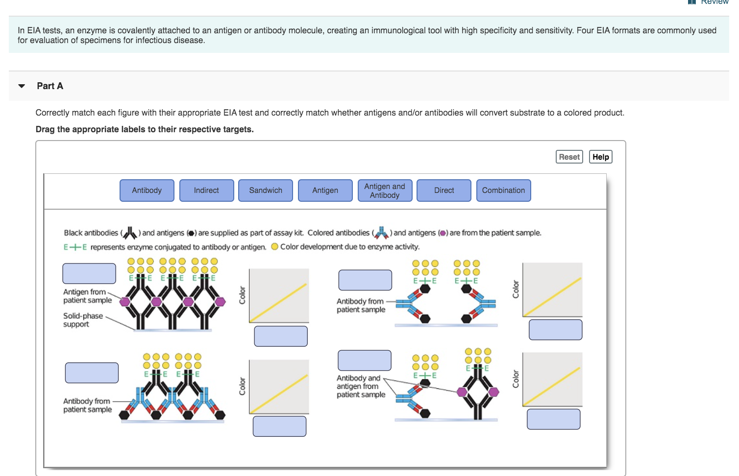 Solved Review In EIA tests, an enzyme is covalently attached