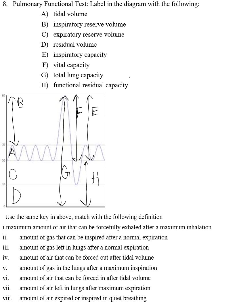 Solved 8. Pulmonary Functional Test: Label in the diagram | Chegg.com