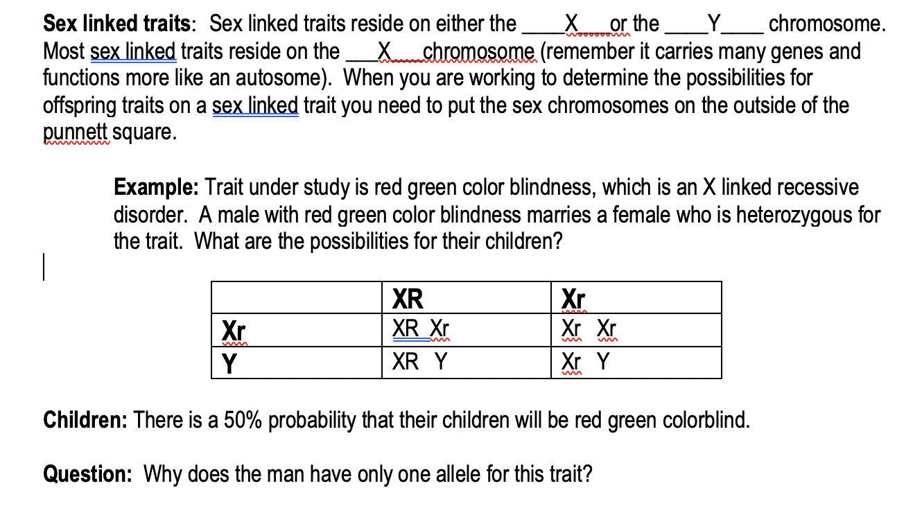 Solved Sex Linked Traits Sex Linked Traits Reside On Either 
