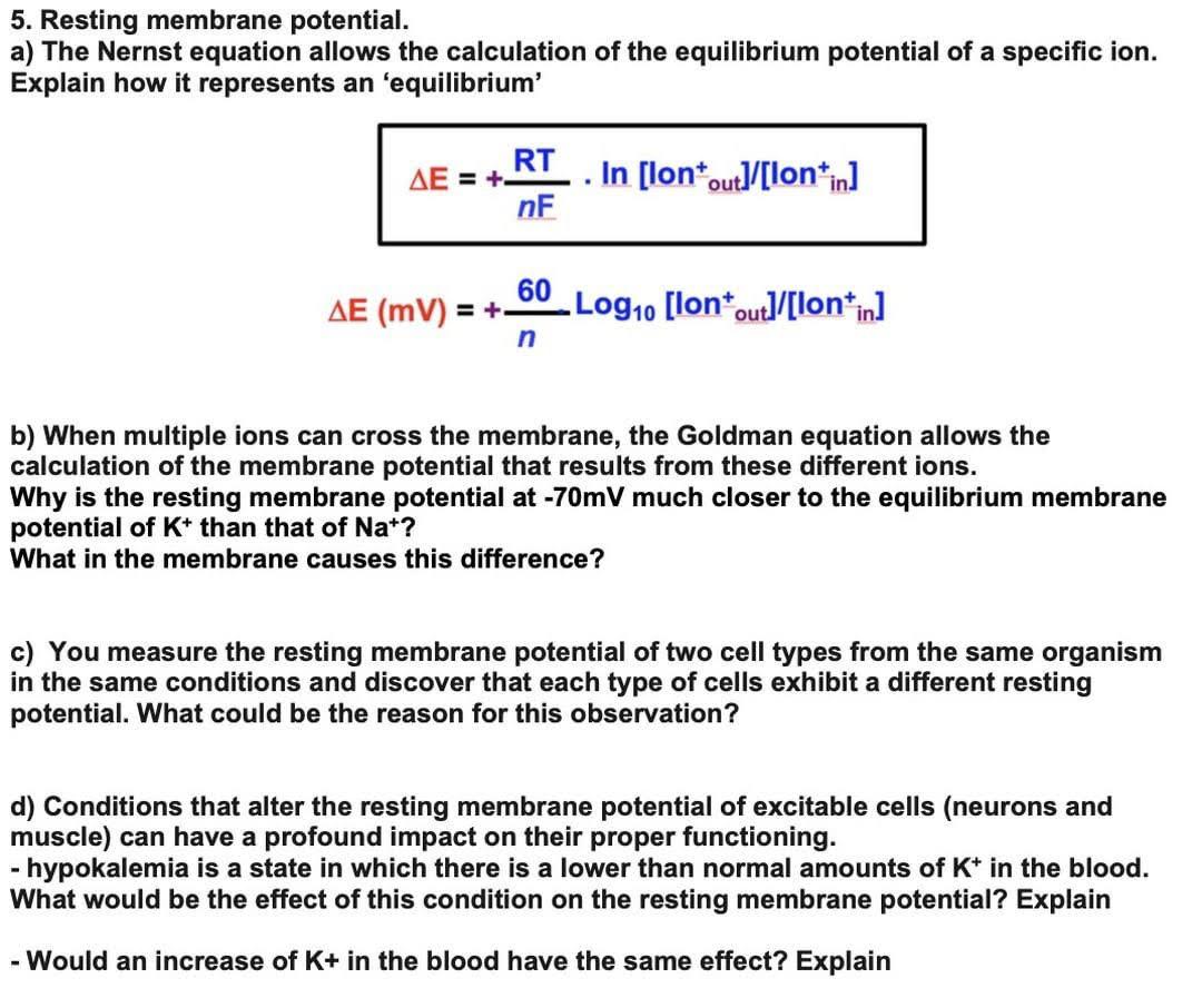 5 Resting Membrane Potential A The Nernst Equation 