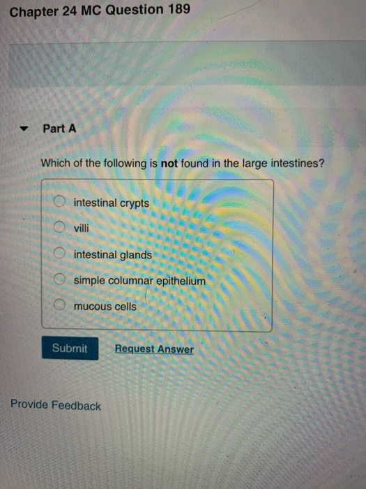 Which Of The Following Is True Of Digestion