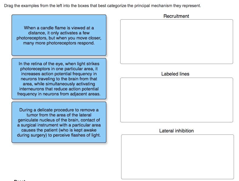 Solved Drag the examples from the left into the boxes that | Chegg.com