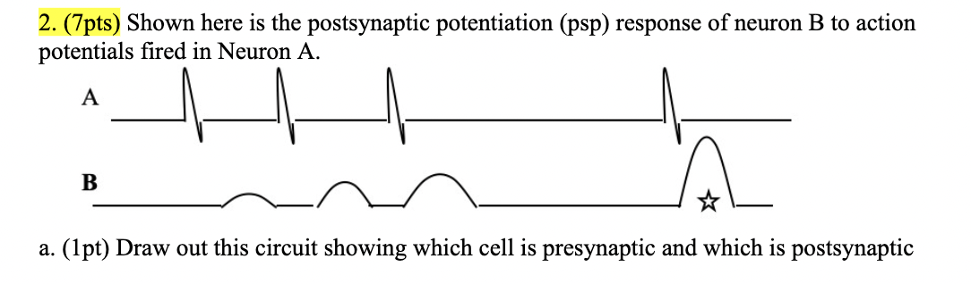 Solved 2. (7pts) Shown here is the postsynaptic potentiation | Chegg.com