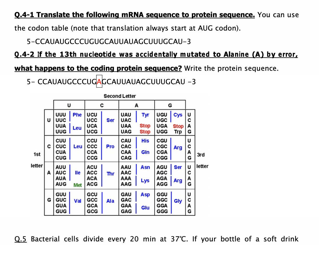 Solved Q.4-1 Translate the following mRNA sequence to | Chegg.com