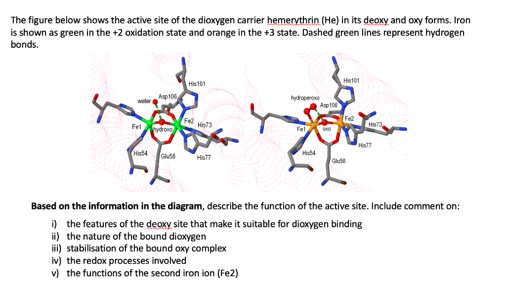 Solved The figure below shows the active site of the | Chegg.com