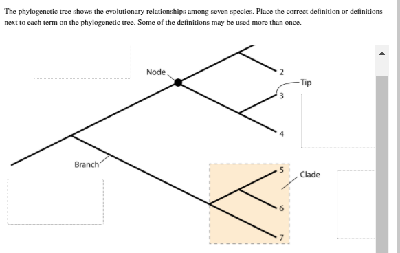 Solved The phylogenetic tree shows the evolutionary | Chegg.com