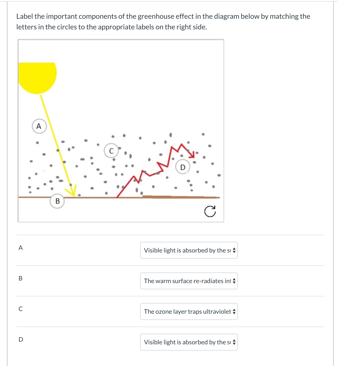 Solved Label The Important Components Of The Greenhouse Chegg Com