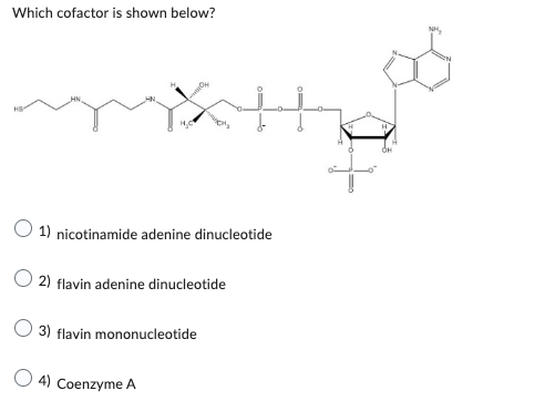 Which cofactor is shown below?
1) nicotinamide adenine dinucleotide
2) flavin adenine dinucleotide
3) flavin mononucleotide
4