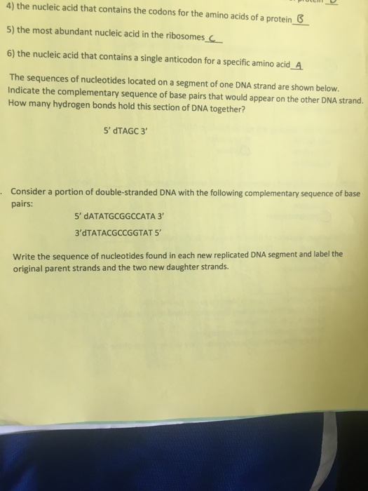 4) the nucleic acid that contains the codons for the