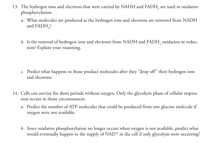 Solved Model 2 - Electron Acceptor Molecules + NAD+ + H+ | Chegg.com