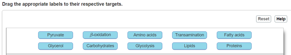 Solved Drag the appropriate labels to their respective | Chegg.com