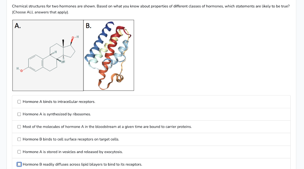 why-are-hormones-important-for-our-body