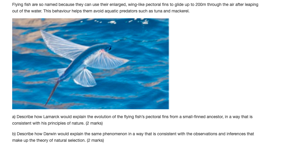 Solved Flying fish are so named because they can use their