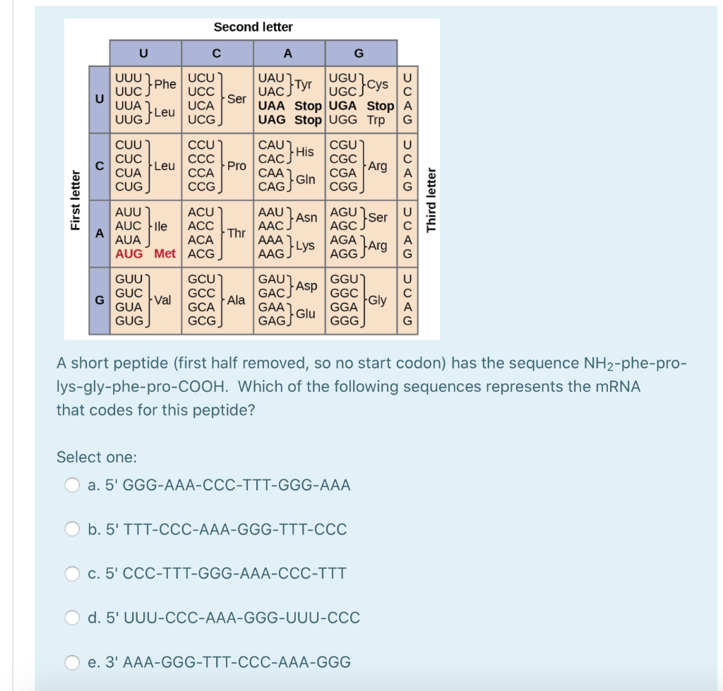 Solved Second Letter U с A G Uuu Phe Uuc Uua Uugs Leu U Ucu