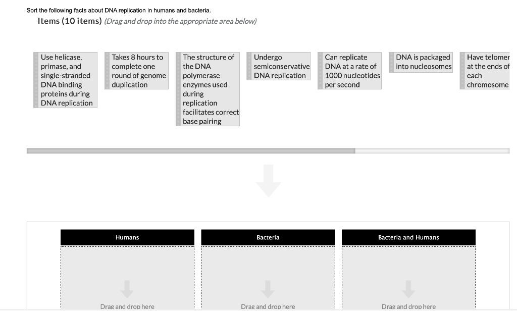 Solved Sort the following facts about DNA replication in | Chegg.com
