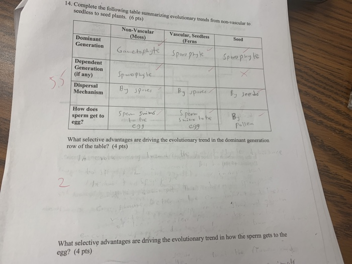 Solved What selective advantages are driving the
