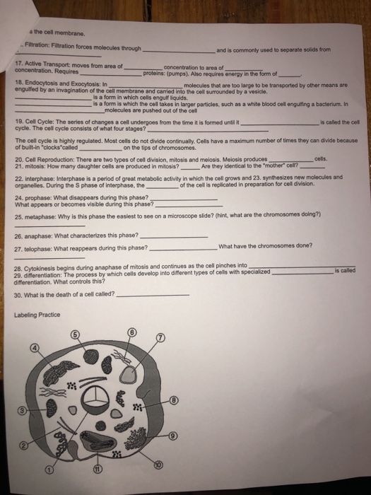 Solved Name: Chapter 3 Cells 1. Cell: A cell consists of | Chegg.com