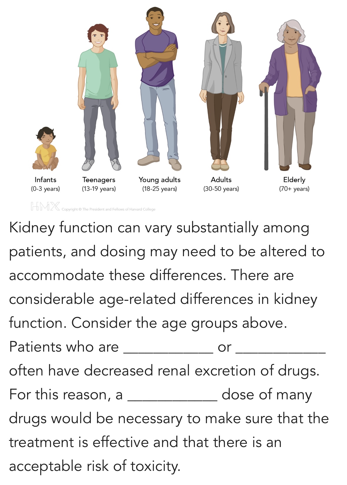 Solved Kidney function can vary substantially among | Chegg.com
