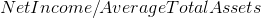 Net Income / Average Total Assets