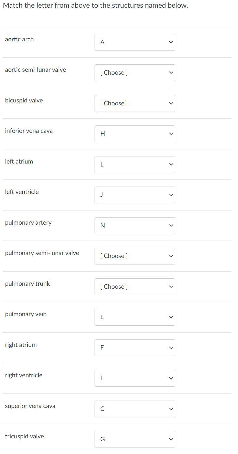 Solved A A A B N с M D L E к F G H J J 1 Match the letter | Chegg.com