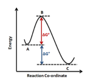 Solved Consider the following reaction coordinate profile | Chegg.com