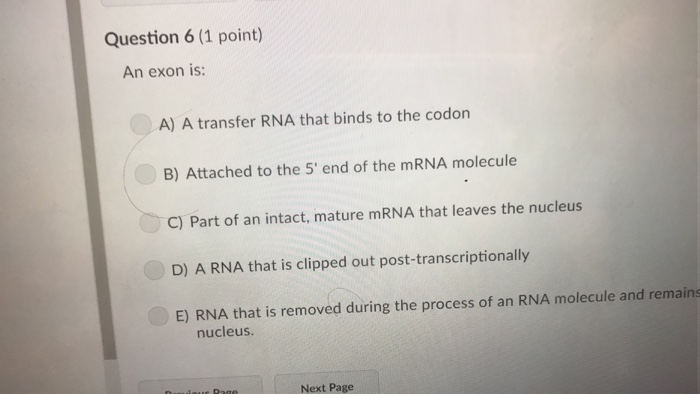 Solved Question 7 (1 point) RNA processing occurs in: A) | Chegg.com