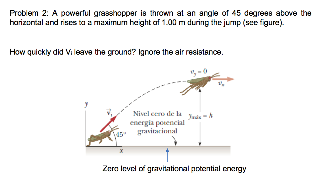 Solved Problem 2: A Powerful Grasshopper Is Thrown At An | Chegg.com