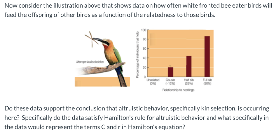 Solved Now Consider The Illustration Above That Shows Data | Chegg.com