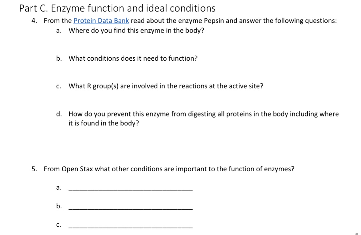 Solved Part C. Enzyme function and ideal conditions 4. From | Chegg.com