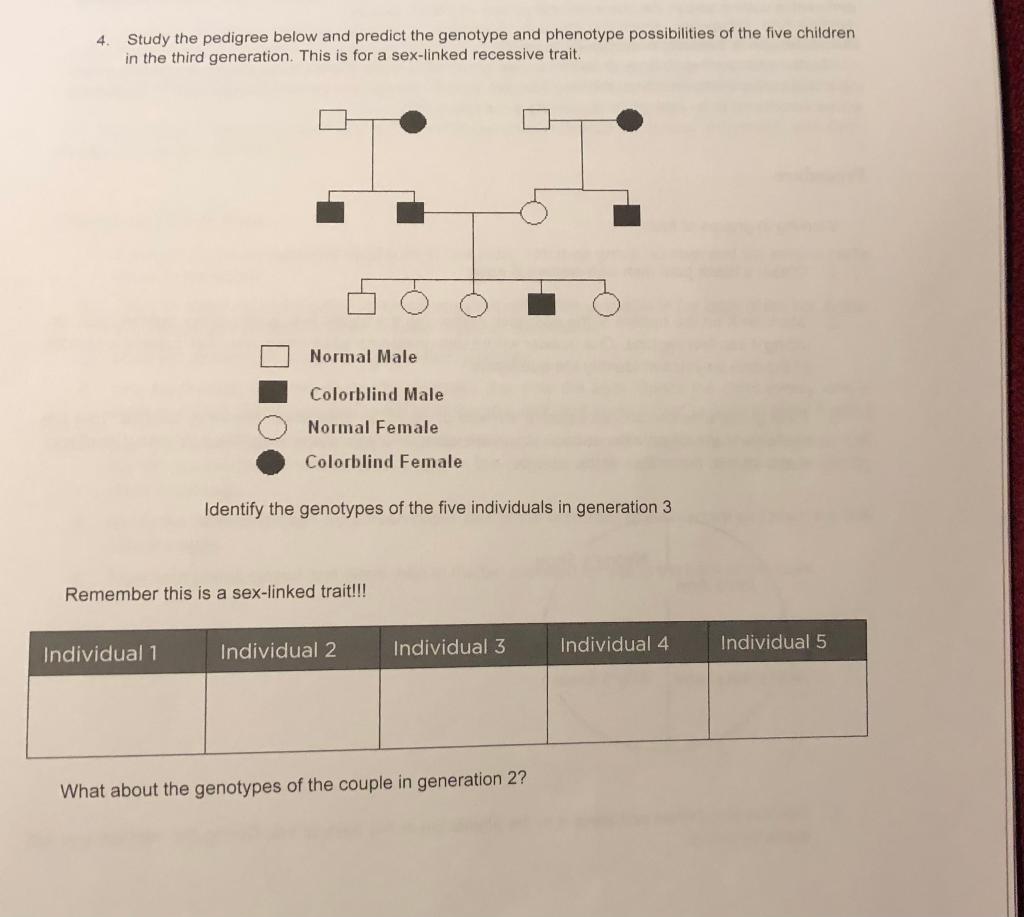 Solved 4. Study the pedigree below and predict the genotype | Chegg.com